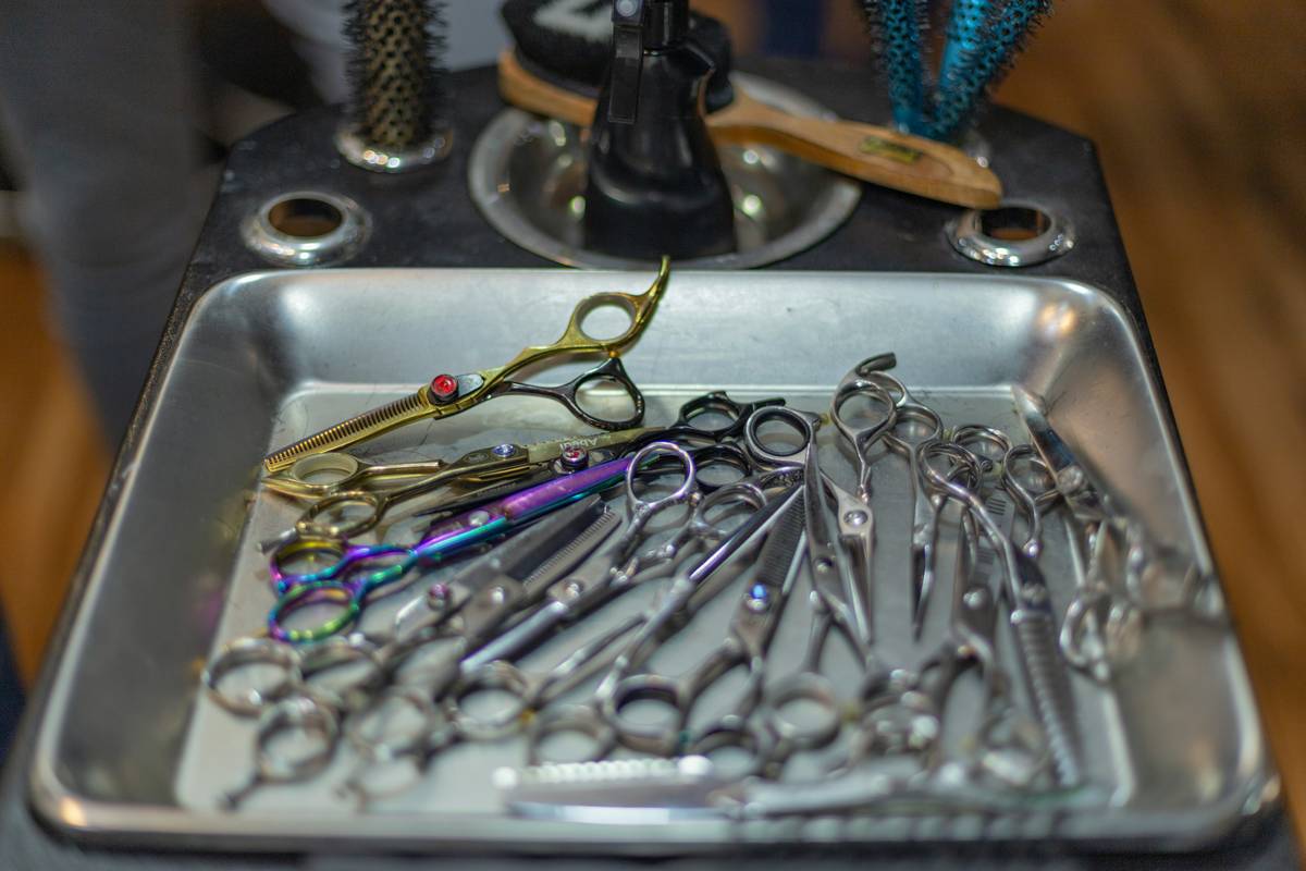 Extended Bristle Comb: 7 Proven Tips to Avoid Painful Grooming Mistakes