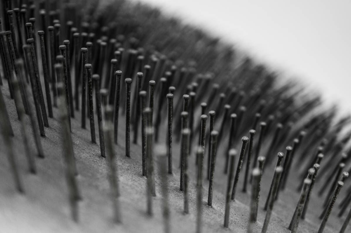 Reduce Flake Comb: 7 Proven Tips to Avoid Painful Grooming Mistakes