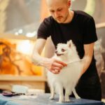 Vitalize Coat Groomer: 7 Proven Tips to Avoid Costly Mistakes