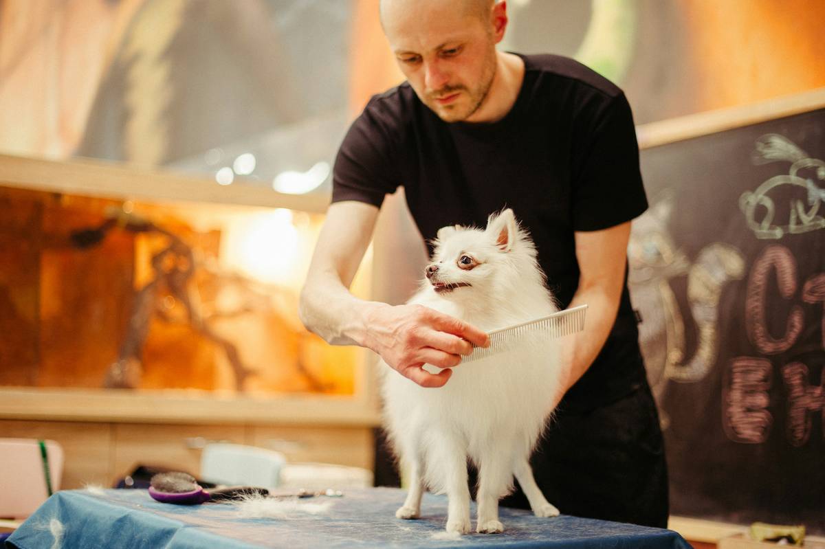 Vitalize Coat Groomer: 7 Proven Tips to Avoid Costly Mistakes